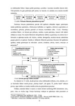 Diplomdarbs 'Patērētāju tiesību aizsardzība un tās problēmas Latvijā', 13.