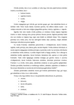 Diplomdarbs 'Patērētāju tiesību aizsardzība un tās problēmas Latvijā', 17.