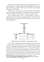 Diplomdarbs 'Patērētāju tiesību aizsardzība un tās problēmas Latvijā', 54.