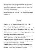 Referāts 'Vecuma posma īpatnības - jaunietis', 6.