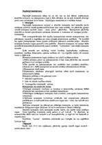 Referāts 'Konkurence', 4.