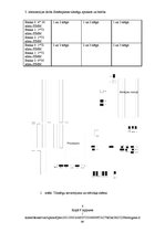 Paraugs 'Sistēmplates tiltslēgu apraksts un būtība', 8.