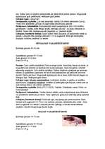 Referāts 'Latvijas sikspārņi', 6.