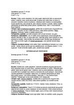 Referāts 'Latvijas sikspārņi', 8.