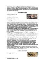 Referāts 'Latvijas sikspārņi', 9.