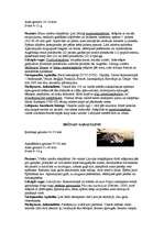 Referāts 'Latvijas sikspārņi', 10.