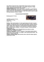 Referāts 'Latvijas sikspārņi', 11.