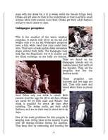 Referāts 'Penguins', 9.