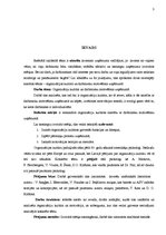 Referāts 'Organizāciju kultūra un darbinieku motivēšana uzņēmumā', 3.