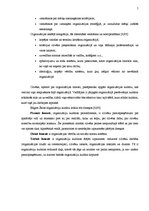 Referāts 'Organizāciju kultūra un darbinieku motivēšana uzņēmumā', 5.