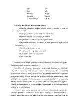 Eseja 'Francūžu nacionālās etiķetes īpatnības', 2.