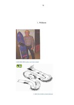 Referāts 'Snovborda attīstība Latvijā un pasaulē', 32.