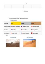 Referāts 'Snovborda attīstība Latvijā un pasaulē', 37.