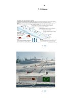 Referāts 'Snovborda attīstība Latvijā un pasaulē', 38.