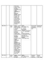 Prakses atskaite 'NMP Kvalifikācijas prakses dienasgrāmata', 21.