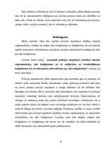 Referāts 'Policijas inspektora darbības tiesiskā reglamentācija un dokumentu noformēšana p', 30.