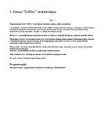 Konspekts 'Biznesa plāns programmēšanas firmai', 2.