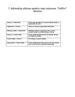 Konspekts 'Biznesa plāns programmēšanas firmai', 4.