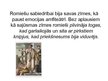 Prezentācija 'Romiešu sabiedrība', 15.