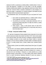 Referāts 'Starptautiskās organizācijas un to loma starptautiskajā politikā', 9.