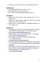 Referāts 'Starptautiskās organizācijas un to loma starptautiskajā politikā', 17.