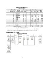 Konspekts 'Vienas dienas sabalansētas ēdienkartes un tehnoloģiskās dokumentācijas izstrāde', 25.