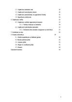 Biznesa plāns 'SIA "Marathon"- Kravas auto riepu tirdzniecība, restaurācija, remonts, vulkanizē', 2.