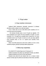 Biznesa plāns 'SIA "Marathon"- Kravas auto riepu tirdzniecība, restaurācija, remonts, vulkanizē', 10.