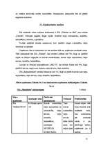 Biznesa plāns 'SIA "Marathon"- Kravas auto riepu tirdzniecība, restaurācija, remonts, vulkanizē', 11.