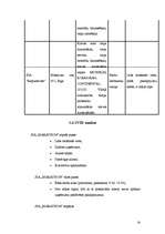 Biznesa plāns 'SIA "Marathon"- Kravas auto riepu tirdzniecība, restaurācija, remonts, vulkanizē', 13.