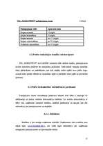 Biznesa plāns 'SIA "Marathon"- Kravas auto riepu tirdzniecība, restaurācija, remonts, vulkanizē', 16.