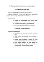 Biznesa plāns 'SIA "Marathon"- Kravas auto riepu tirdzniecība, restaurācija, remonts, vulkanizē', 18.