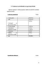 Biznesa plāns 'SIA "Marathon"- Kravas auto riepu tirdzniecība, restaurācija, remonts, vulkanizē', 19.