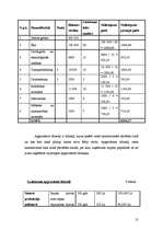 Biznesa plāns 'SIA "Marathon"- Kravas auto riepu tirdzniecība, restaurācija, remonts, vulkanizē', 20.