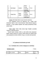 Biznesa plāns 'SIA "Marathon"- Kravas auto riepu tirdzniecība, restaurācija, remonts, vulkanizē', 23.