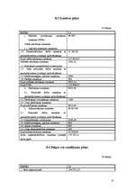 Biznesa plāns 'SIA "Marathon"- Kravas auto riepu tirdzniecība, restaurācija, remonts, vulkanizē', 30.