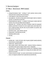 Referāts 'Project B. Strategic Analysis of Plum AS', 19.