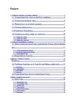 Biznesa plāns 'Biznesa plāns - sveču ražošana', 1.