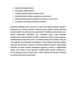 Biznesa plāns 'Biznesa plāns - sveču ražošana', 4.