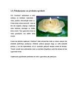 Biznesa plāns 'Biznesa plāns - sveču ražošana', 7.