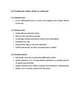 Biznesa plāns 'Biznesa plāns - sveču ražošana', 10.