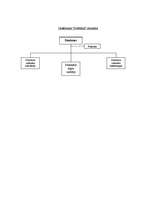 Biznesa plāns 'Biznesa plāns - sveču ražošana', 14.