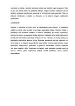 Biznesa plāns 'Biznesa plāns - sveču ražošana', 16.