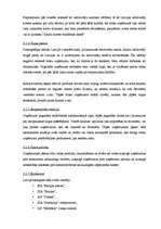 Biznesa plāns 'Biznesa plāns - sveču ražošana', 19.