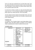 Biznesa plāns 'Biznesa plāns - sveču ražošana', 20.