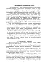Referāts 'Bērna kreiļa adaptācija mūsdienu skolā', 3.