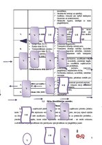 Referāts 'Risku vadīšanas procesa novērtējums uzņēmumā AS "Biolat"', 9.