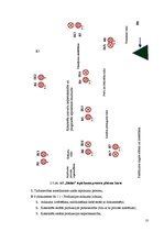 Referāts 'Risku vadīšanas procesa novērtējums uzņēmumā AS "Biolat"', 10.