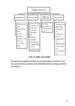Referāts 'Risku vadīšanas procesa novērtējums uzņēmumā AS "Biolat"', 19.