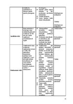Referāts 'Risku vadīšanas procesa novērtējums uzņēmumā AS "Biolat"', 22.